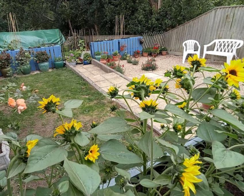 House With Free Parking And Large Garden Villa Wyke Regis Eksteriør billede